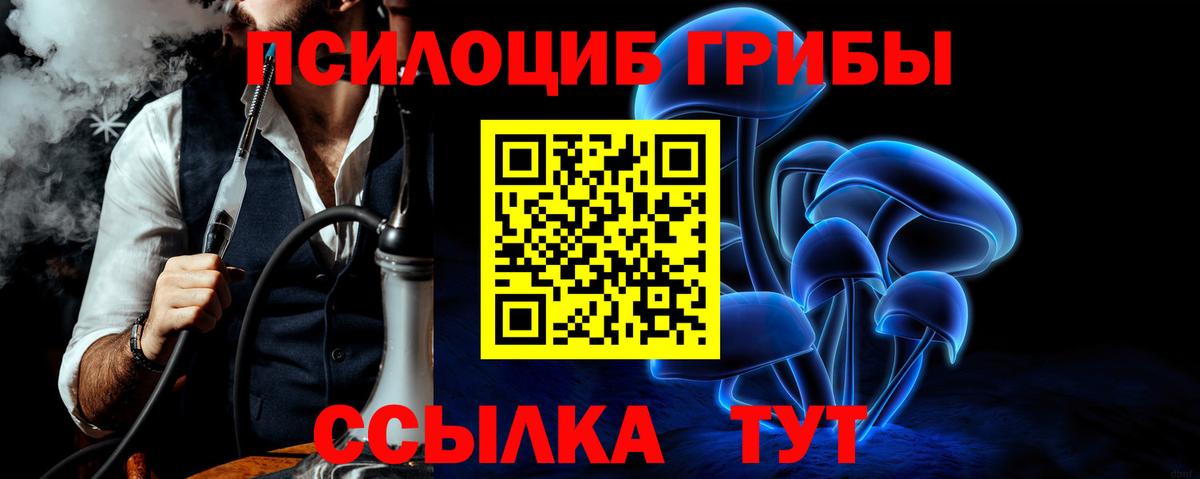 Галлюциногенные грибы мухоморы  Псилоцибиновые грибы мухоморы  где найти наркотики  Торжок  Вход с VPN 